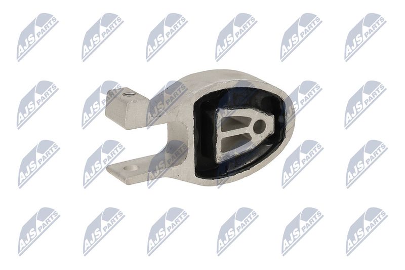 Paigutus, Mootor, NTY ZPS-FR-037