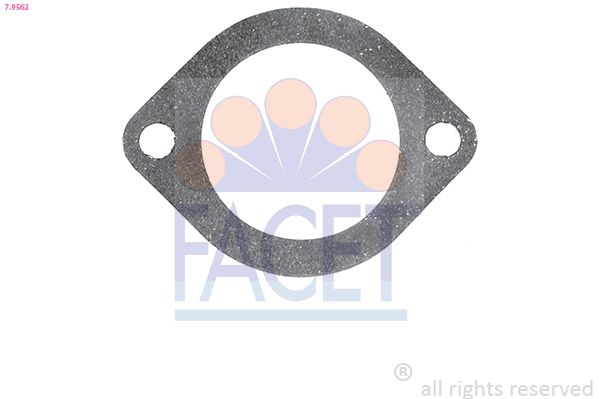 7.9562-FA.JPG