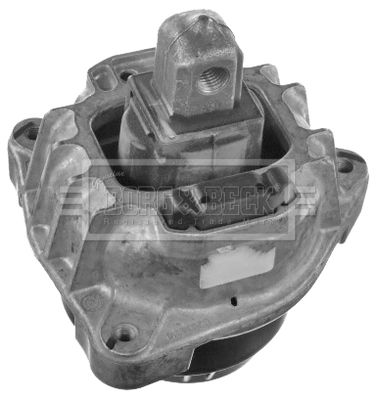 BEM4264_887731.JPG