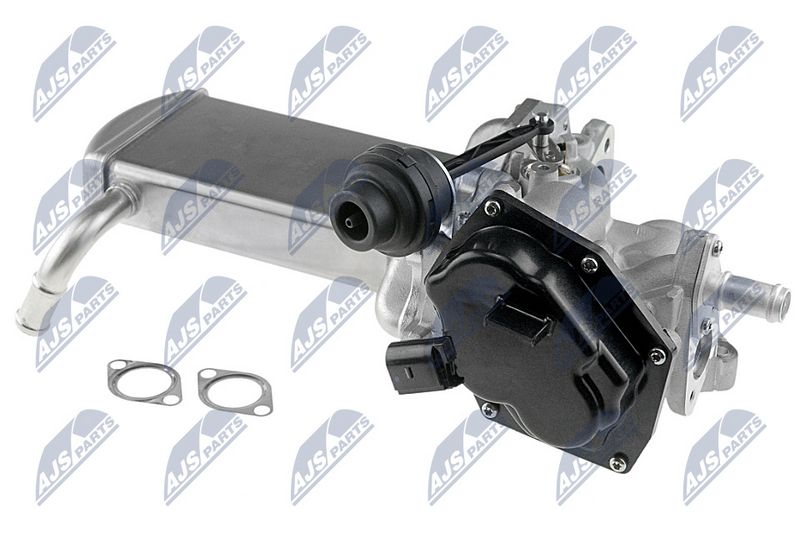 egr-vw-024_2-wm.JPG