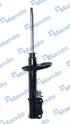 MSS016030B.JPG