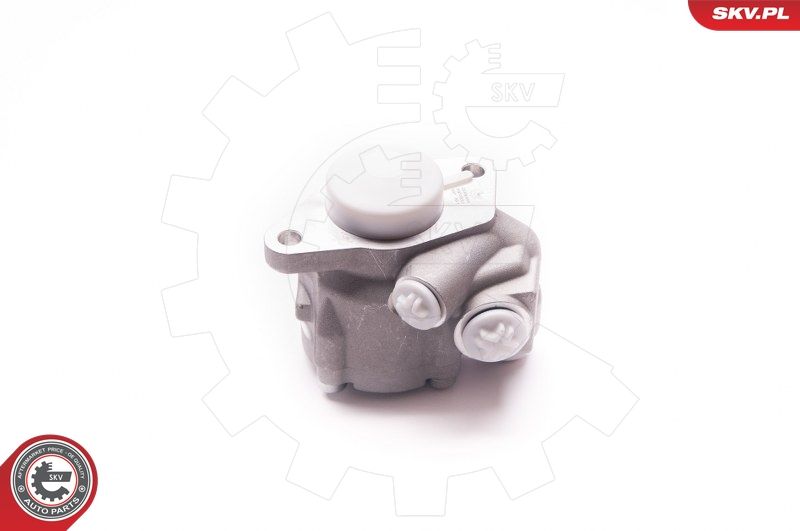 ESEN SKV 1SKV0012 Hydraulic Pump, steering