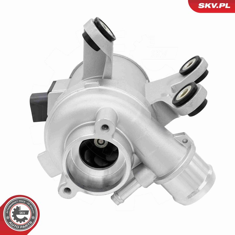 ESEN SKV 22SKV090 Water Pump, engine cooling