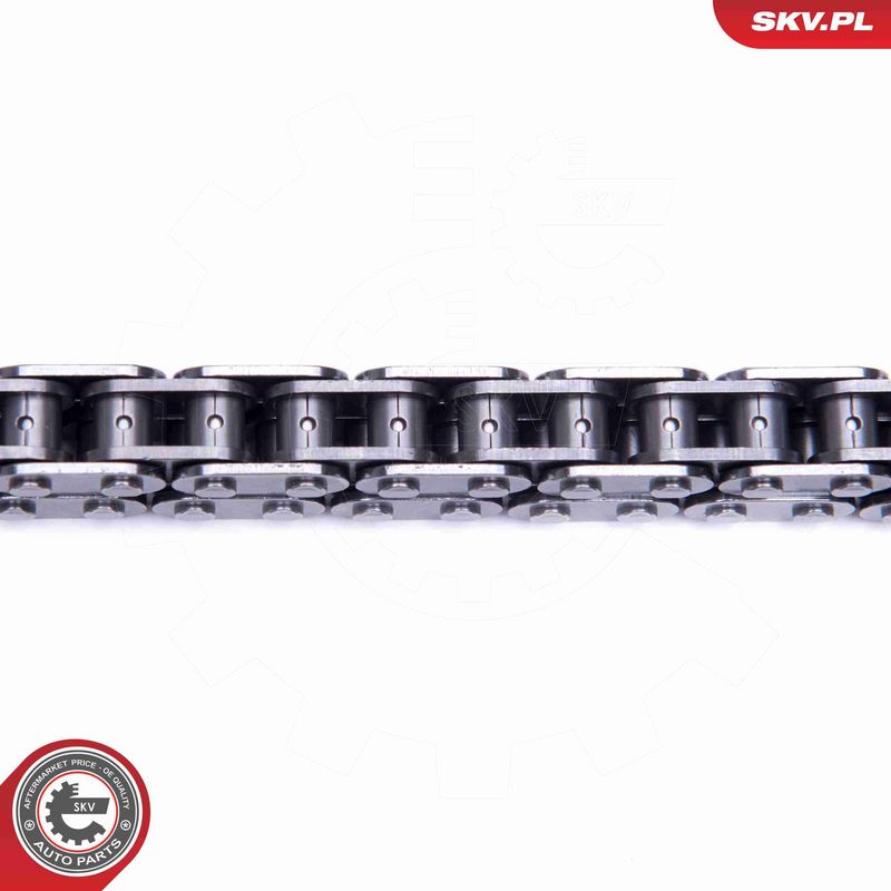ESEN SKV 21SKV193 Timing Chain Kit
