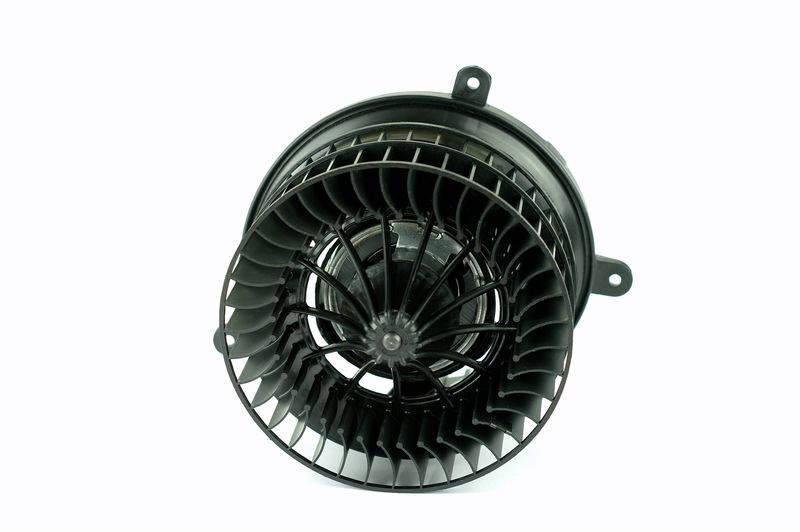 Salongipuhur, NISSENS 87152