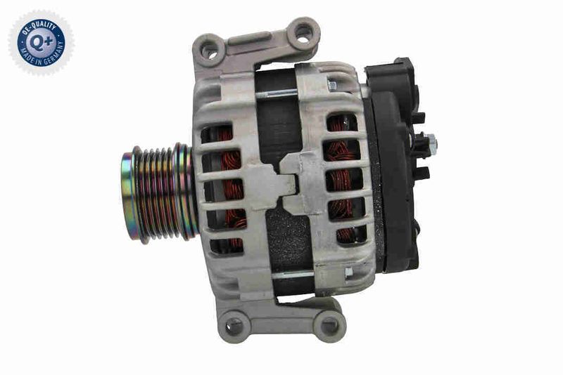 V10-13-50081_04.JPG
