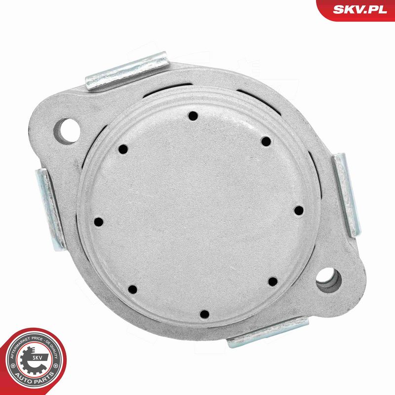 Paigutus, Mootor, ESEN SKV 75SKV165