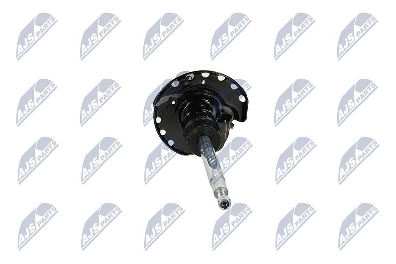 Amort, NTY A-LR-032