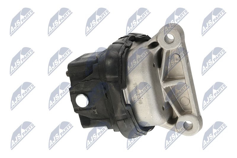 Paigutus, Mootor, NTY ZPS-CH-019