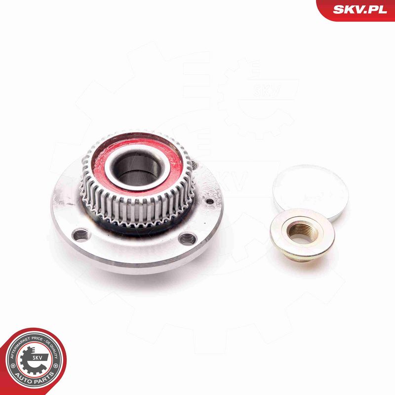 ESEN SKV 29SKV043 Wheel Bearing Kit