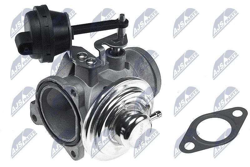 EGR-klapp, NTY EGR-AU-000