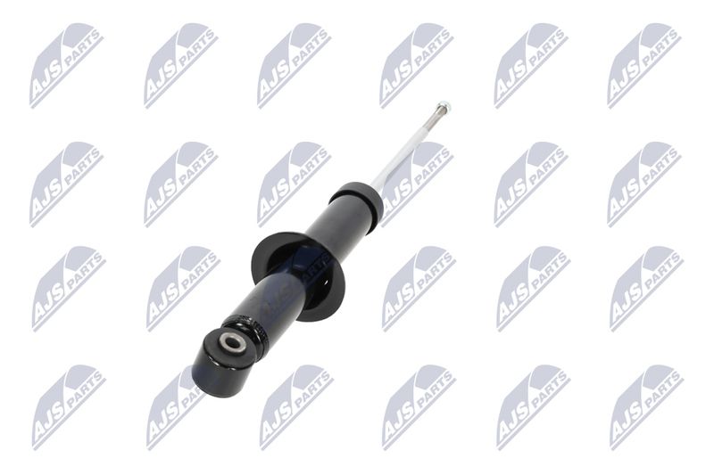 Amort, NTY A-CH-058