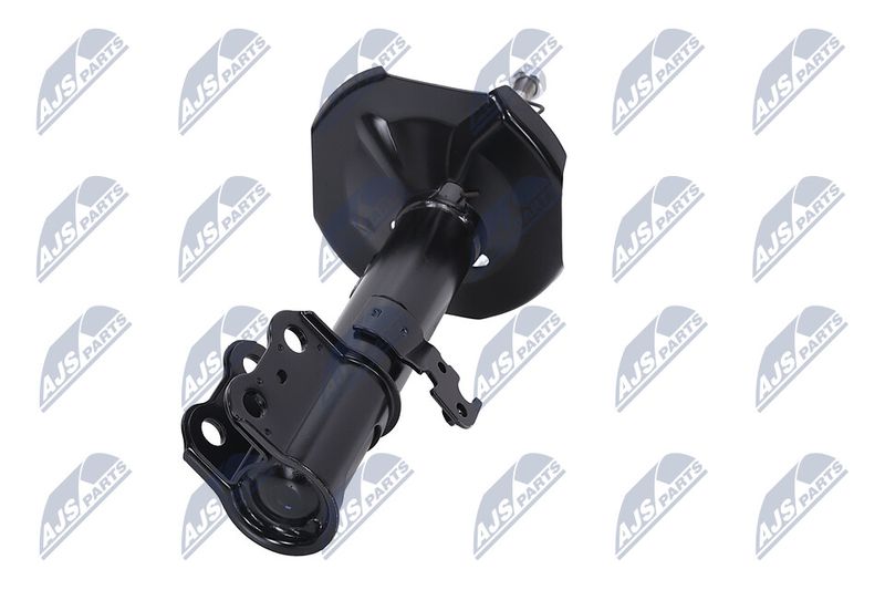 Amort, NTY A-TY-096