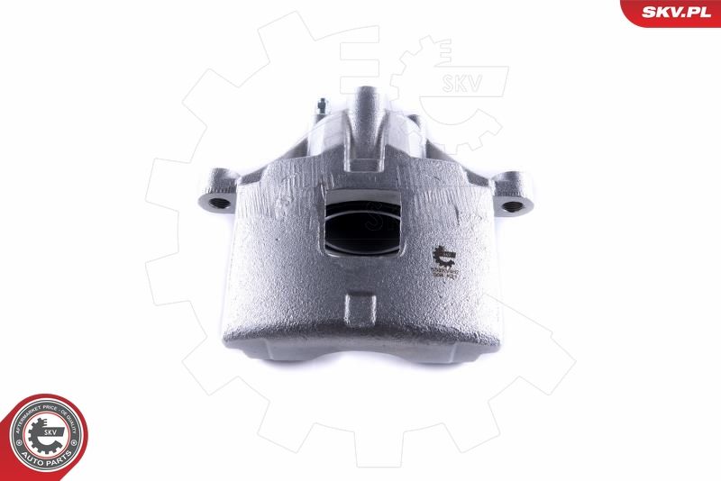 ESEN SKV 55SKV462 Brake Caliper