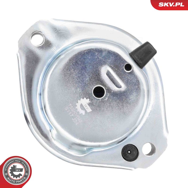 Paigutus, Mootor, ESEN SKV 75SKV048