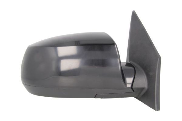 BLIC 5402-53-2001548P Exterior Mirror