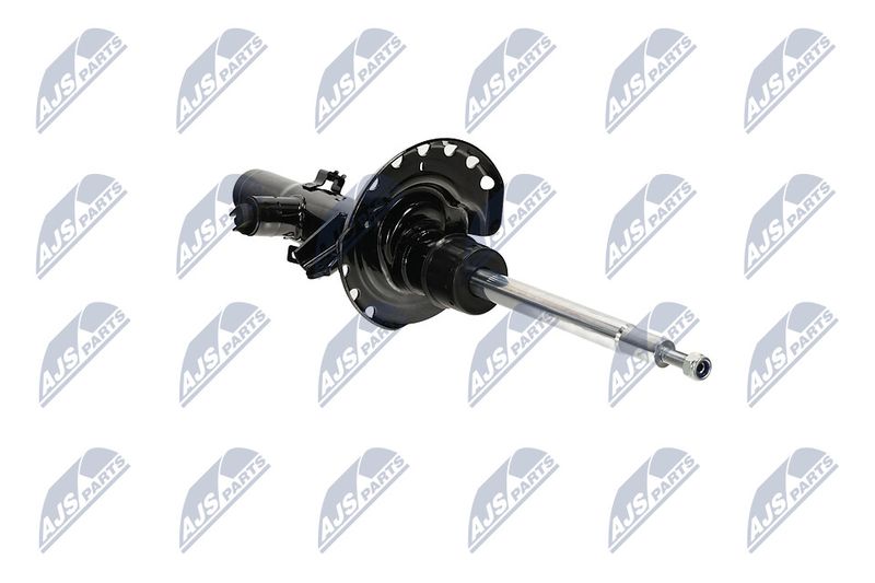 Amort, NTY A-LR-033