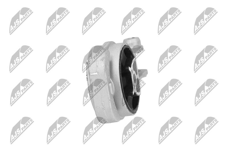 Paigutus, Mootor, NTY ZPS-PL-080