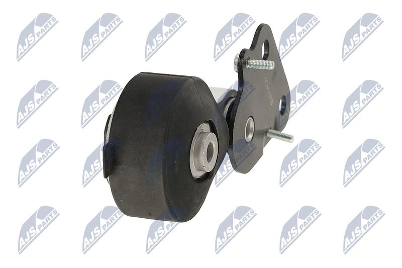 Paigutus, Mootor, NTY ZPS-CH-078