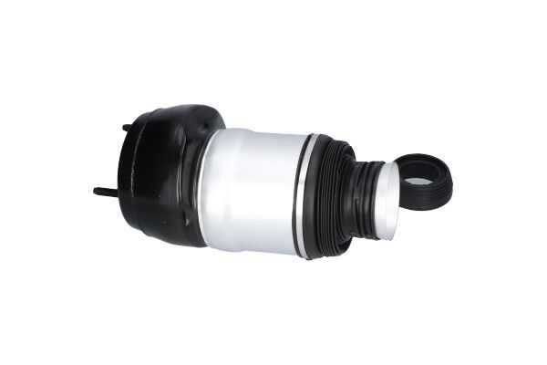 Kavo Parts SAS-10049 Air Spring, suspension