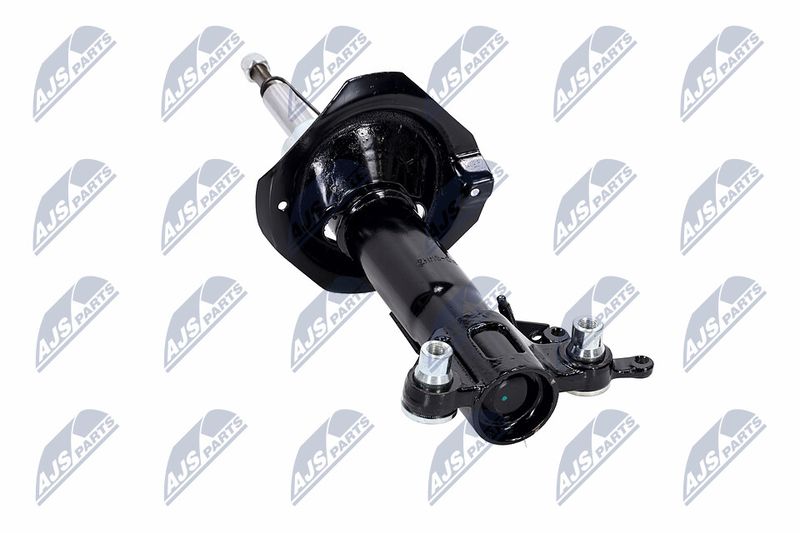 Amort, NTY A-NS-016