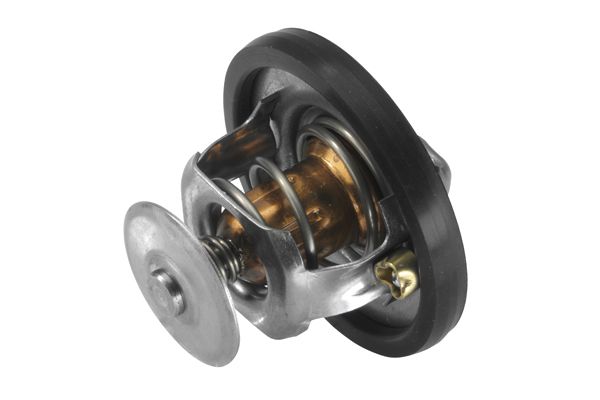 BorgWarner (Wahler) 3497.88D Thermostat, coolant