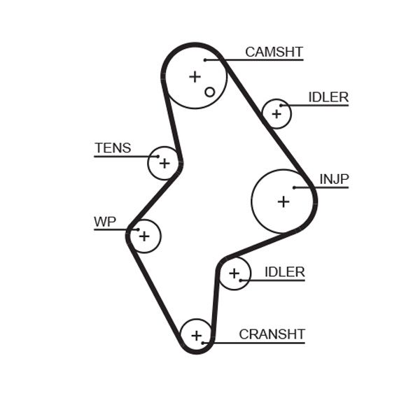 Gates Timing Belt 5658XS
