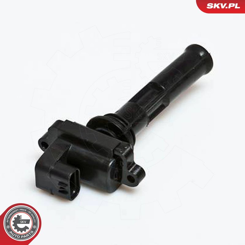 ESEN SKV 03SKV030 Ignition Coil