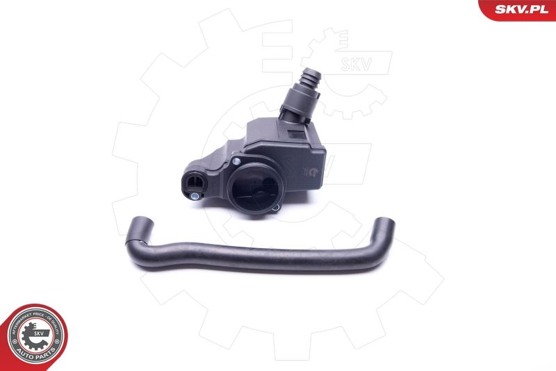 ESEN SKV 31SKV098 Repair Kit, crankcase ventilation