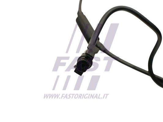 FT61499_2_1.JPG