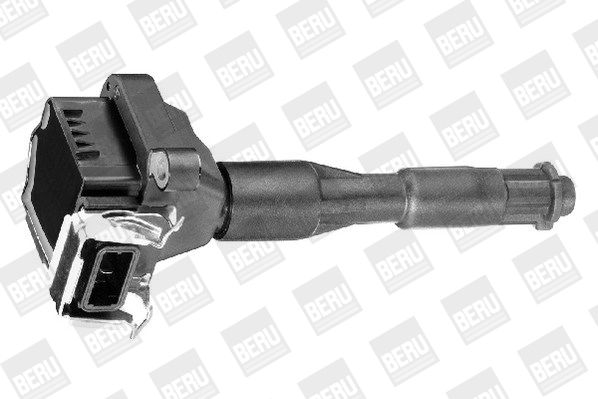 BorgWarner (BERU) ZS302 Ignition Coil