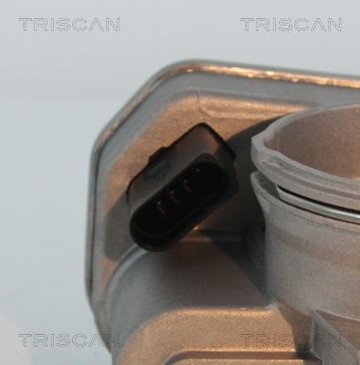 Корпус дросельного вузла, Triscan 882029029