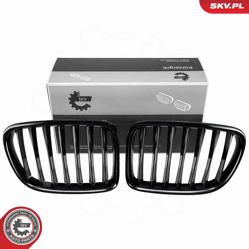 ESEN SKV 66SKV230 - Radiator Grille