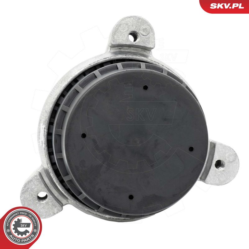 Paigutus, Mootor, ESEN SKV 75SKV249