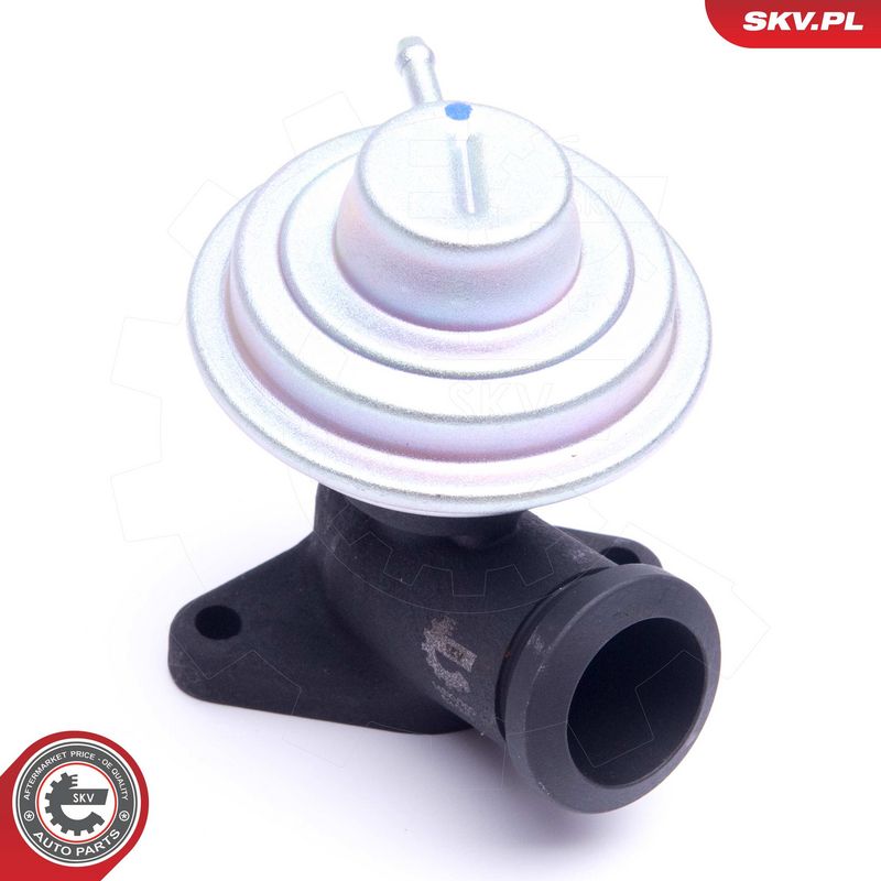 EGR-klapp, ESEN SKV 14SKV205