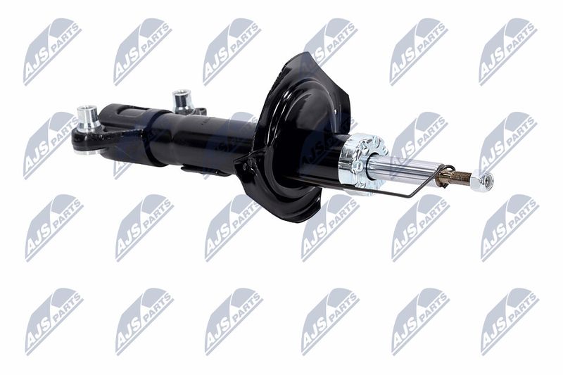 Amort, NTY A-NS-015