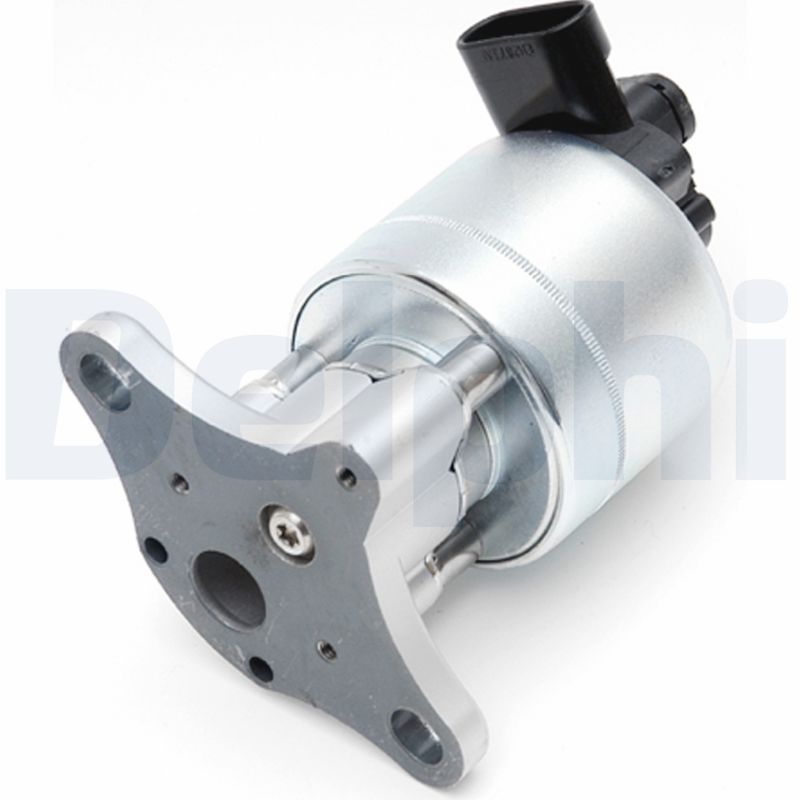 Delphi EGR Valve EG10024-11B1