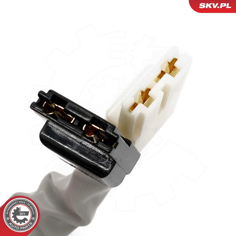 Roolilukk, ESEN SKV 65SKV203