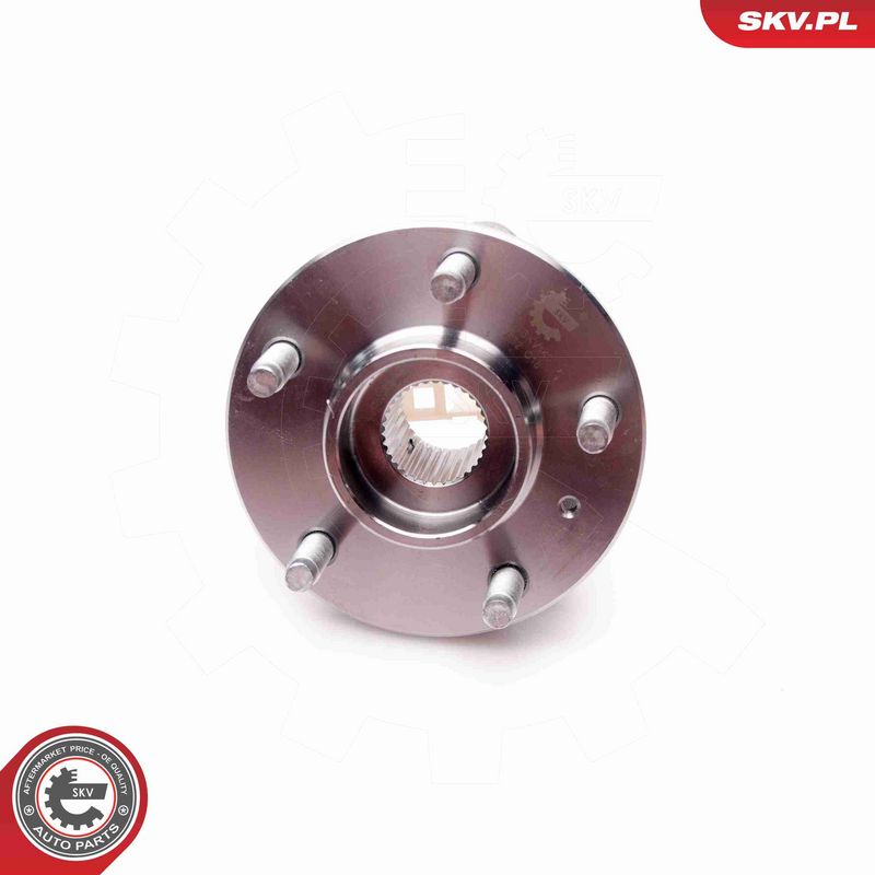 ESEN SKV 29SKV140 Wheel Bearing Kit
