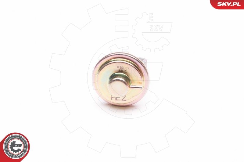ESEN SKV 14SKV130 EGR Valve