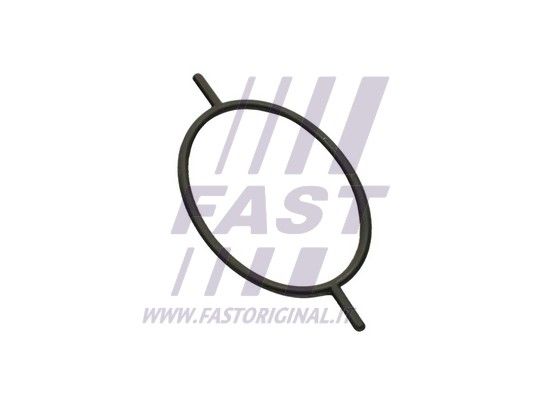 FT49923_2_1.JPG