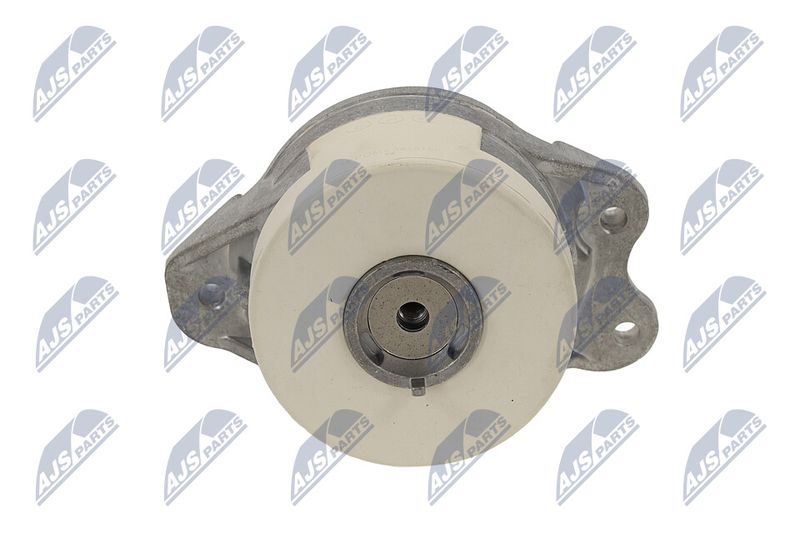 Paigutus, Mootor, NTY ZPS-ME-027