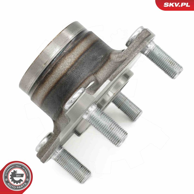 ESEN SKV 29SKV665 Wheel Bearing Kit