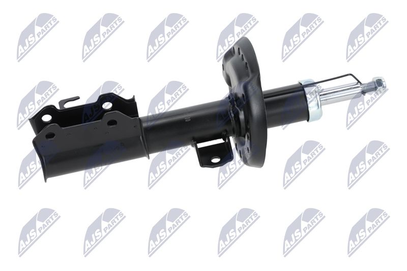 Amort, NTY A-PL-029
