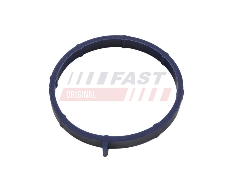 FAST FT49467 Gasket, intake manifold