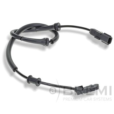 ER-02031.JPG