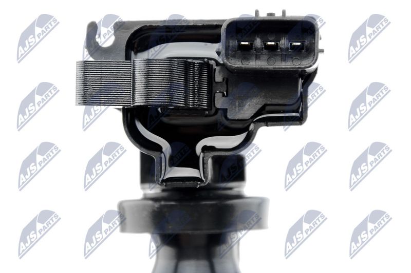 ECZ-MS-023_4-WM.JPG