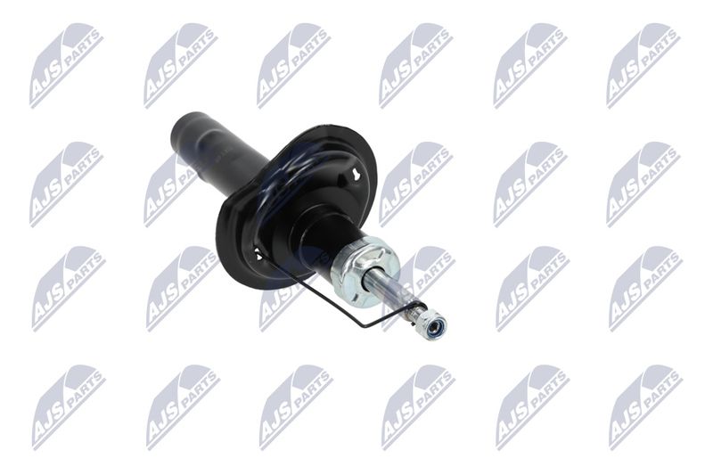 Amort, NTY A-CT-020