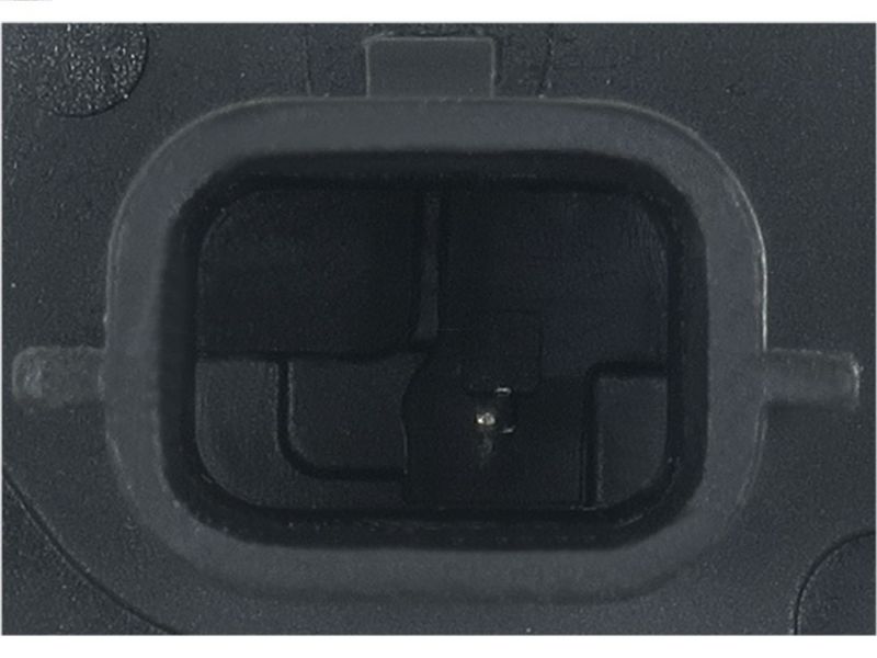 419097.JPG