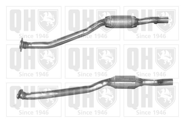 QH_QCAT90971H.JPG